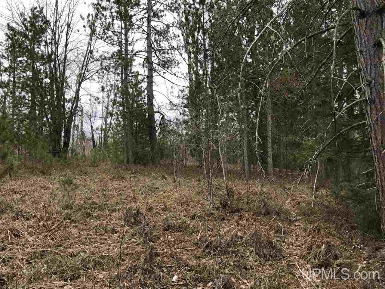 40-ac Kelso Road Crystal Falls, MI 49920 - Photo 2 of 21