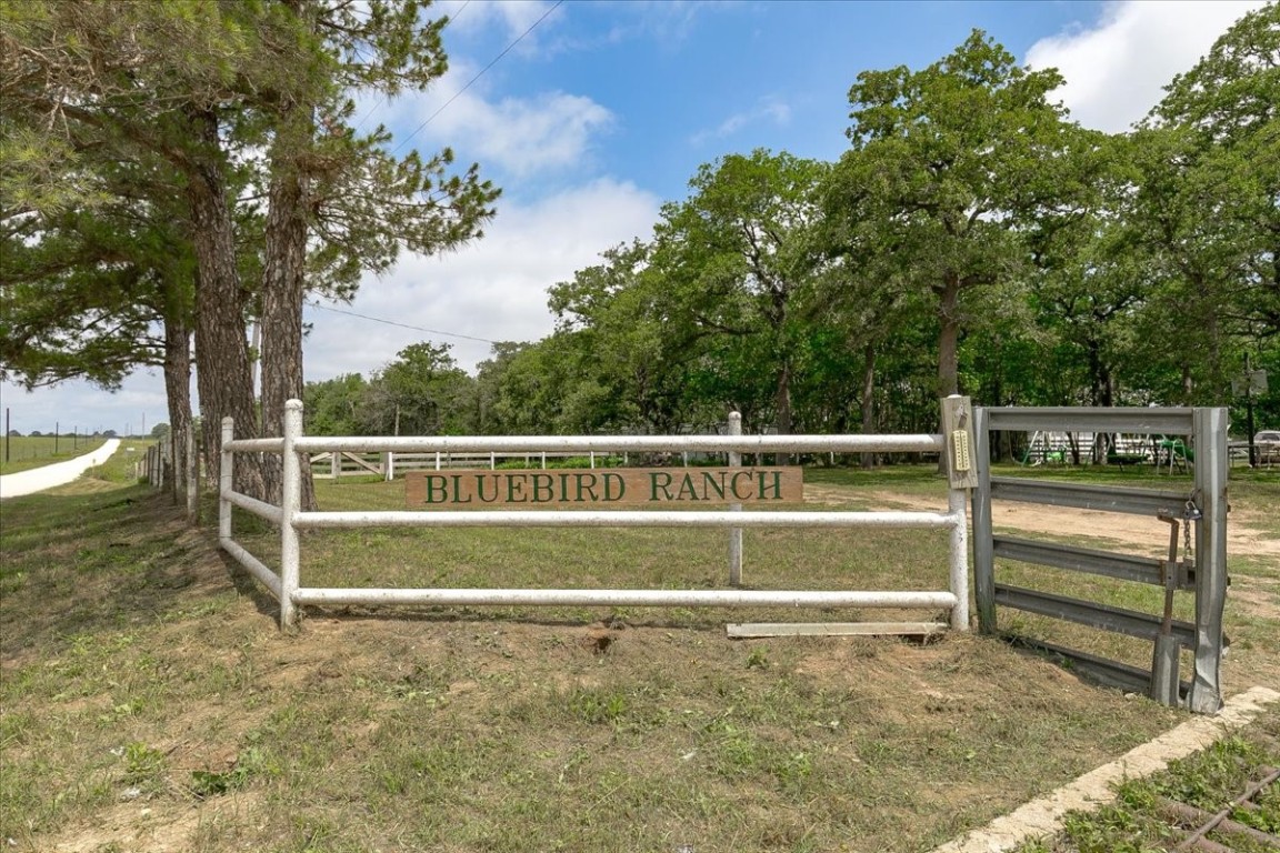 a view of a yard with wooden fence