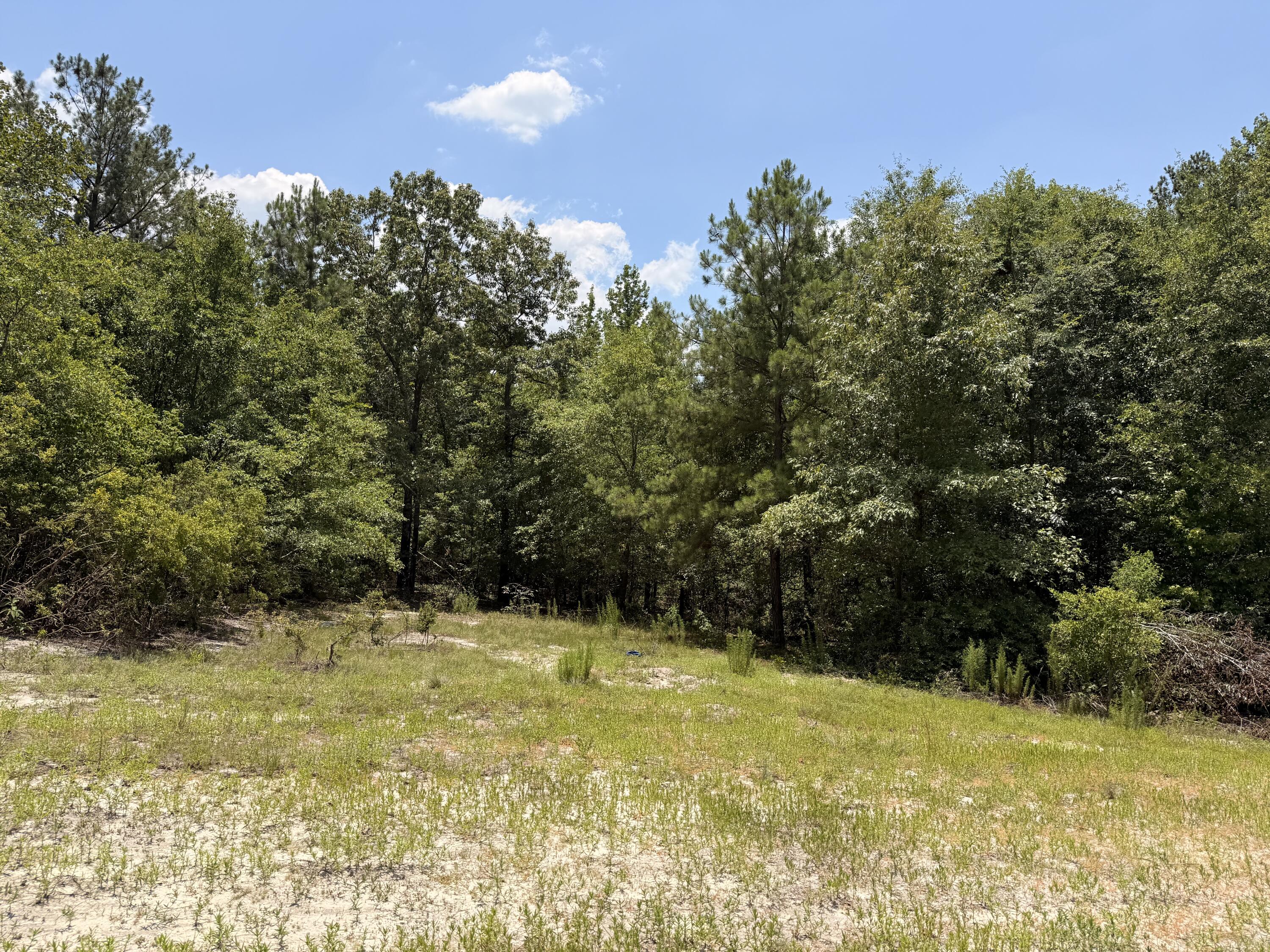 380 Windy Ridge Road Trenton, SC 29847 - Photo 25 of 34