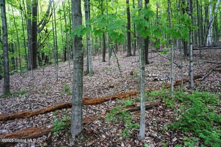 L26 West Fulton Road Warnerville, NY 12187 - Photo 9 of 15 W Fulton pic 11