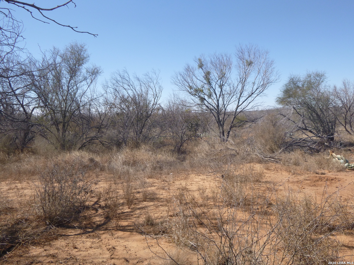 4253 East Fm 462 Moore, TX 78057 - Photo 11 of 19