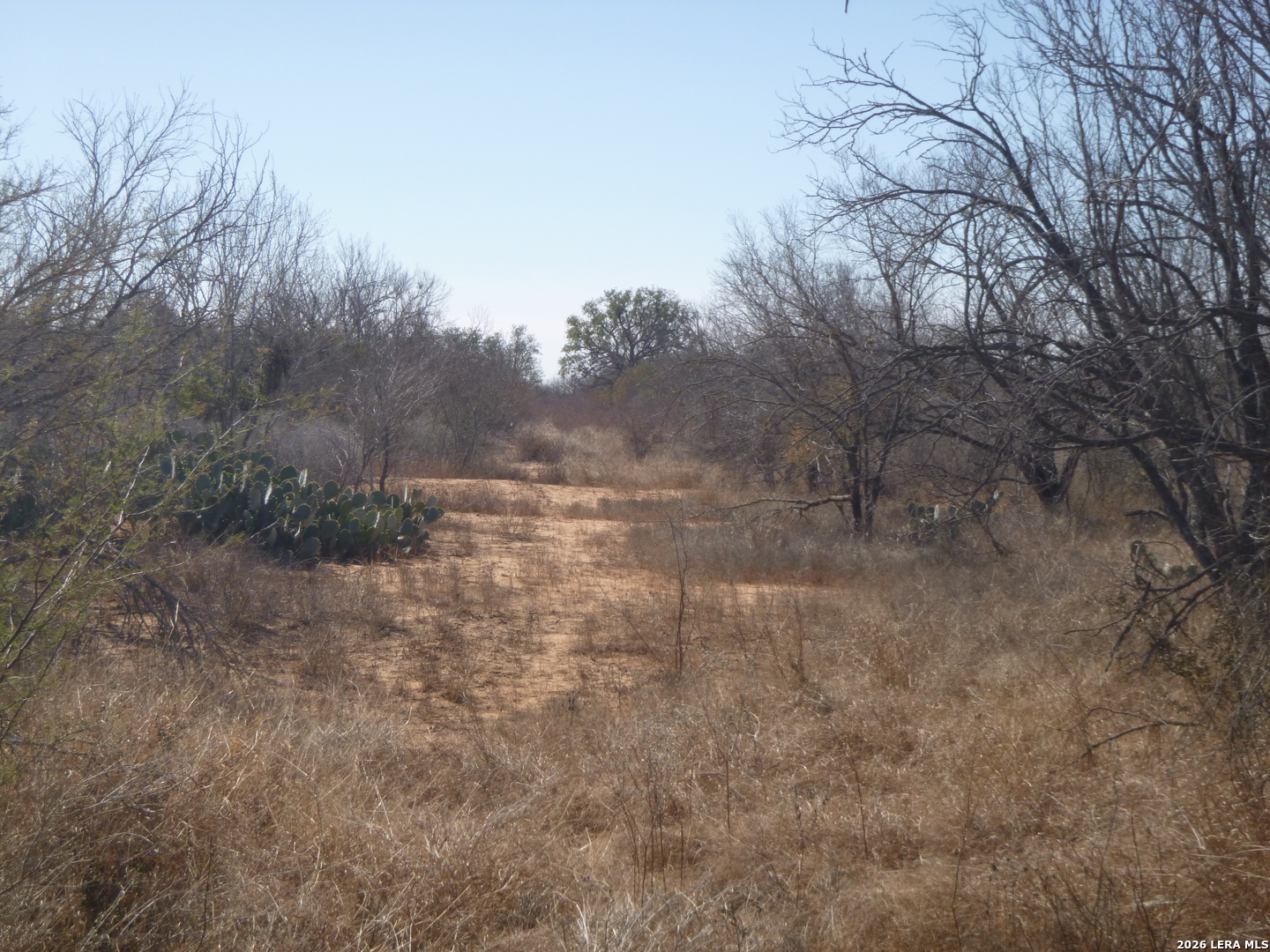 4253 East Fm 462 Moore, TX 78057 - Photo 12 of 19