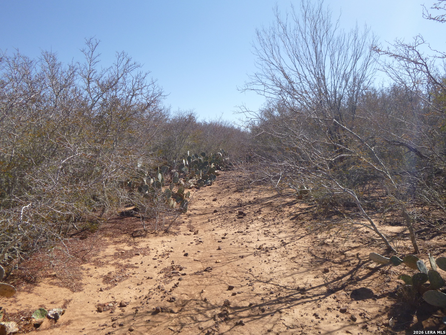 4253 East Fm 462 Moore, TX 78057 - Photo 13 of 19