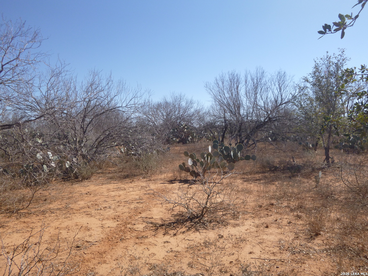 4253 East Fm 462 Moore, TX 78057 - Photo 14 of 19