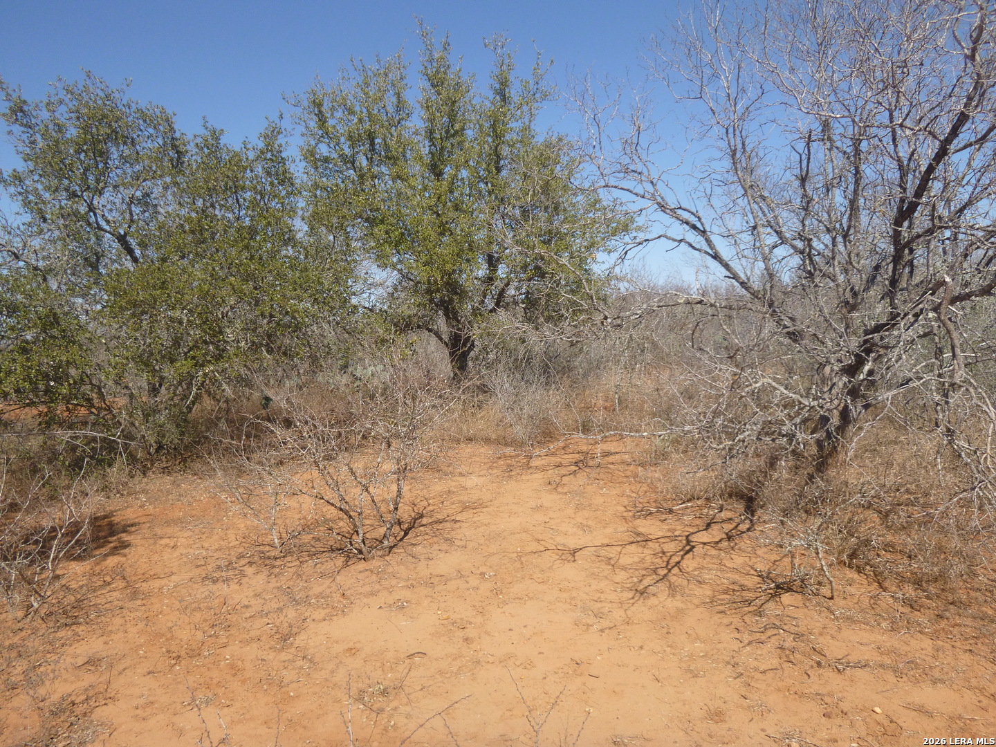 4253 East Fm 462 Moore, TX 78057 - Photo 15 of 19