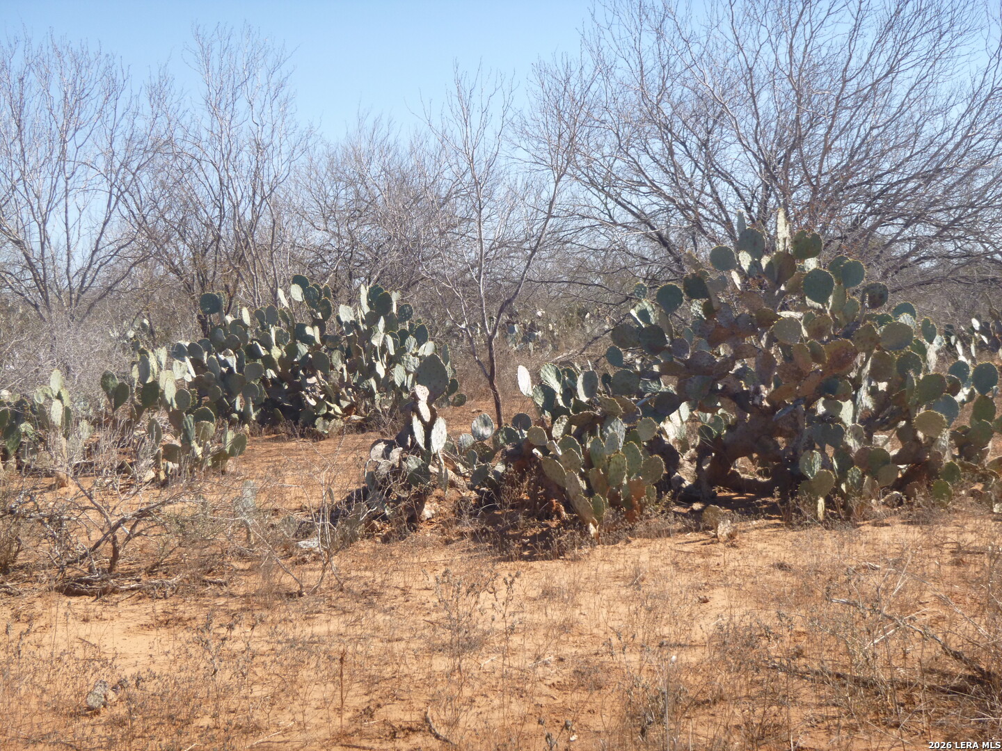4253 East Fm 462 Moore, TX 78057 - Photo 16 of 19