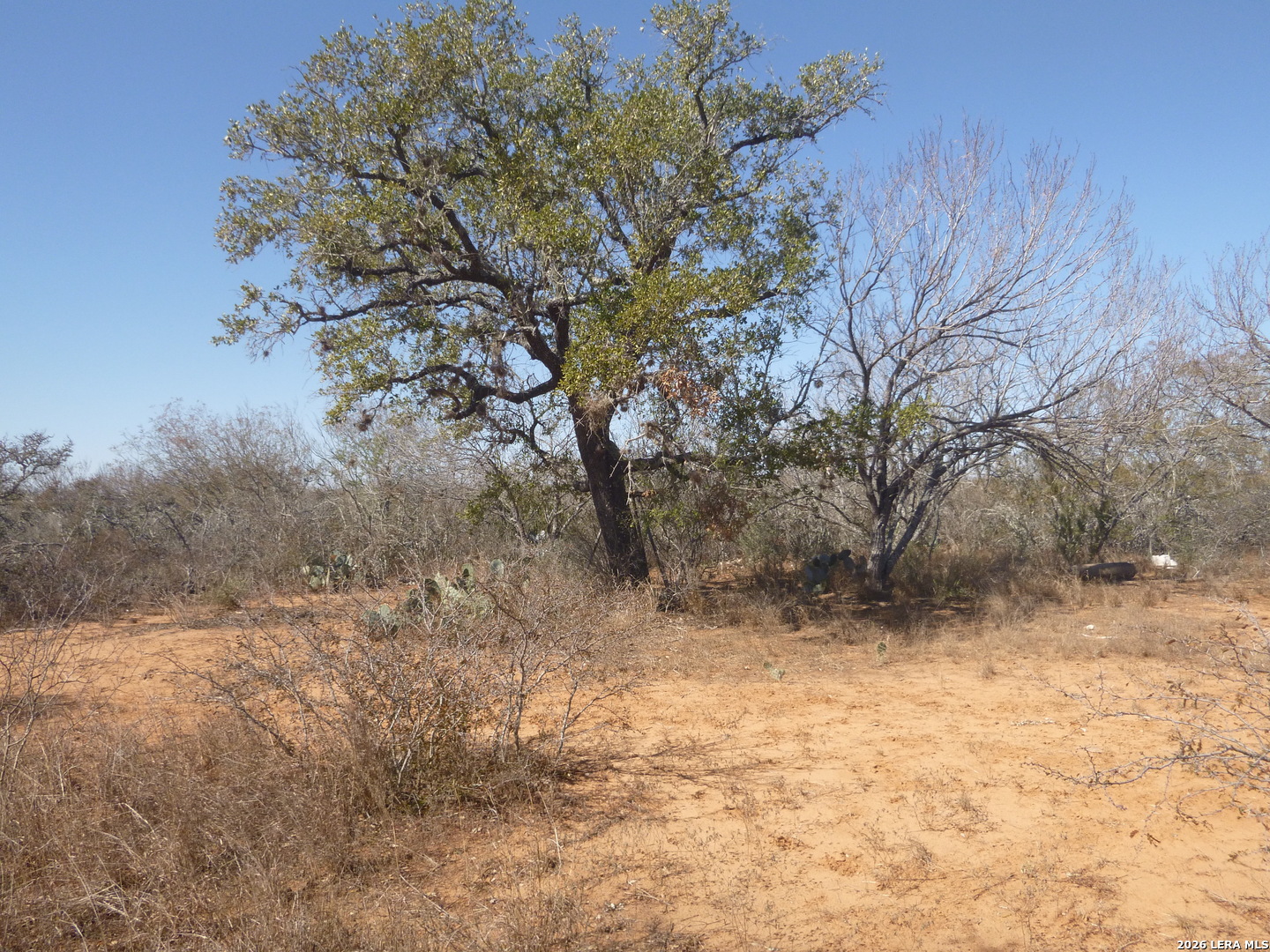 4253 East Fm 462 Moore, TX 78057 - Photo 17 of 19