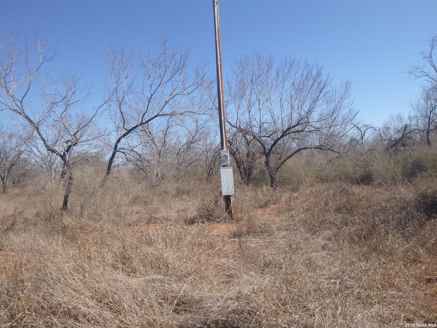 4253 East Fm 462 Moore, TX 78057 - Photo 18 of 19