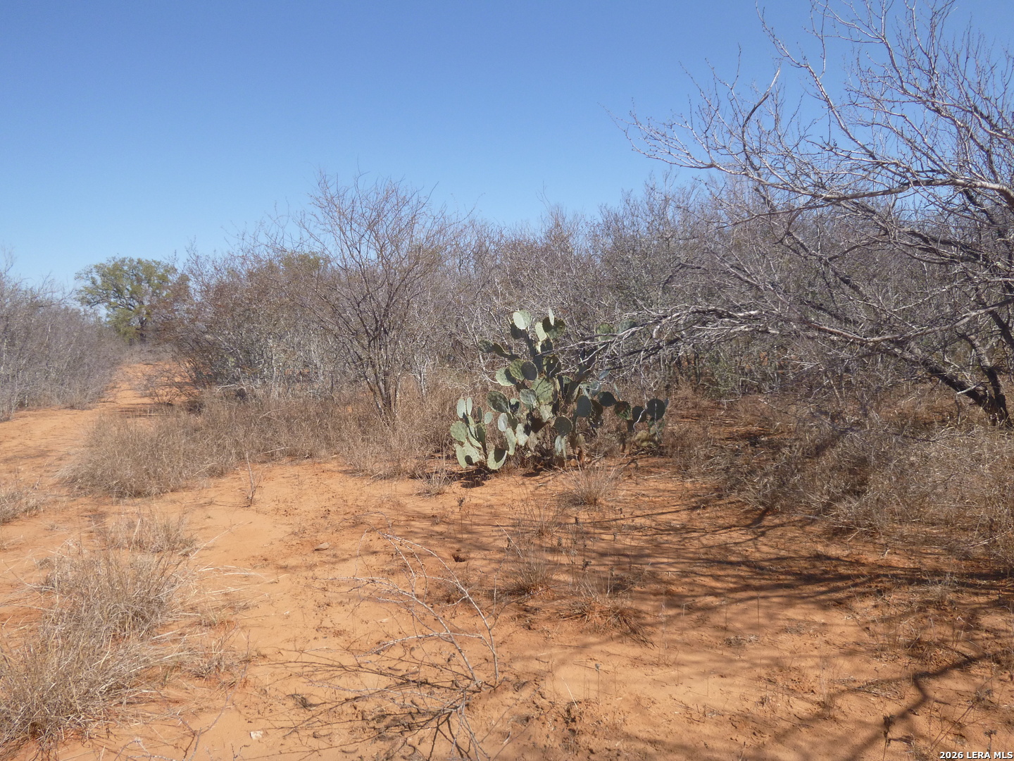 4253 East Fm 462 Moore, TX 78057 - Photo 2 of 19