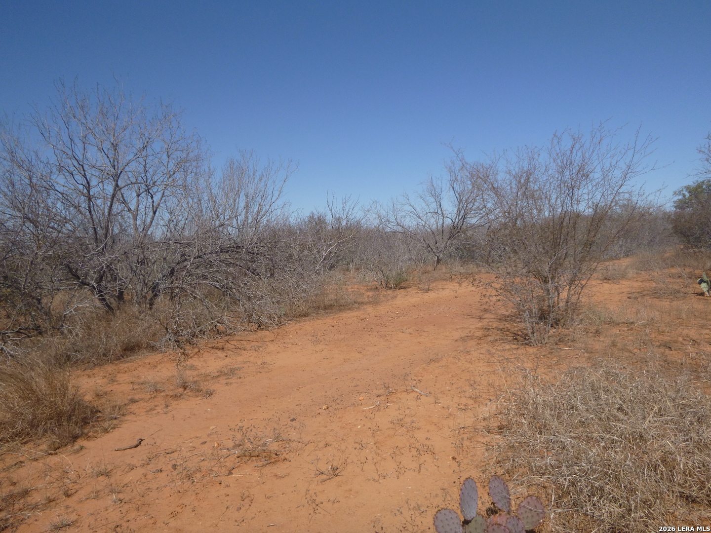 4253 East Fm 462 Moore, TX 78057 - Photo 3 of 19