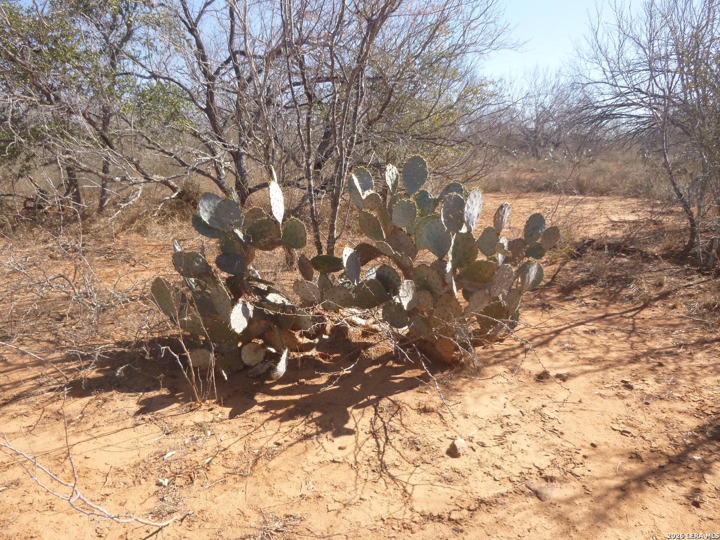 4253 East Fm 462 Moore, TX 78057 - Photo 4 of 19