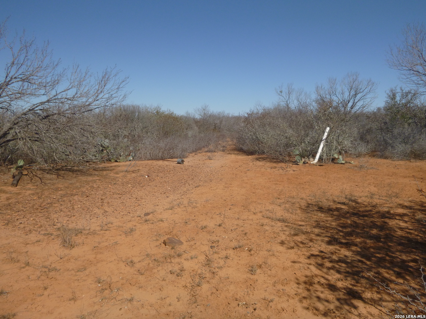 4253 East Fm 462 Moore, TX 78057 - Photo 6 of 19