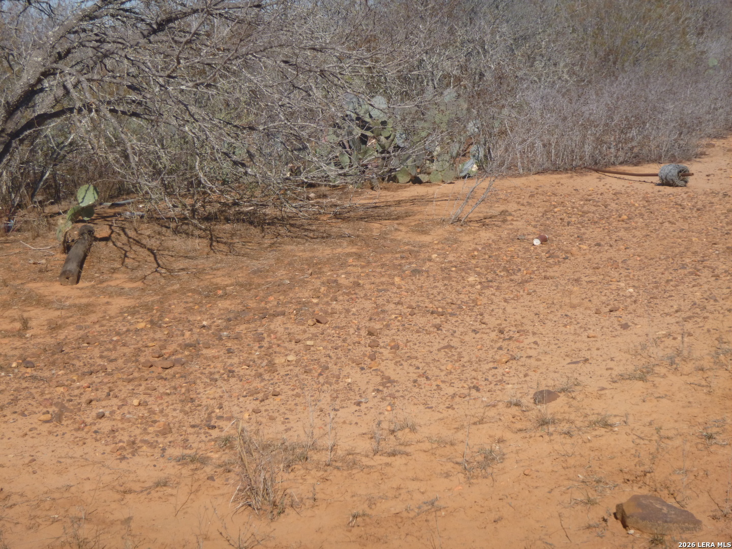 4253 East Fm 462 Moore, TX 78057 - Photo 7 of 19