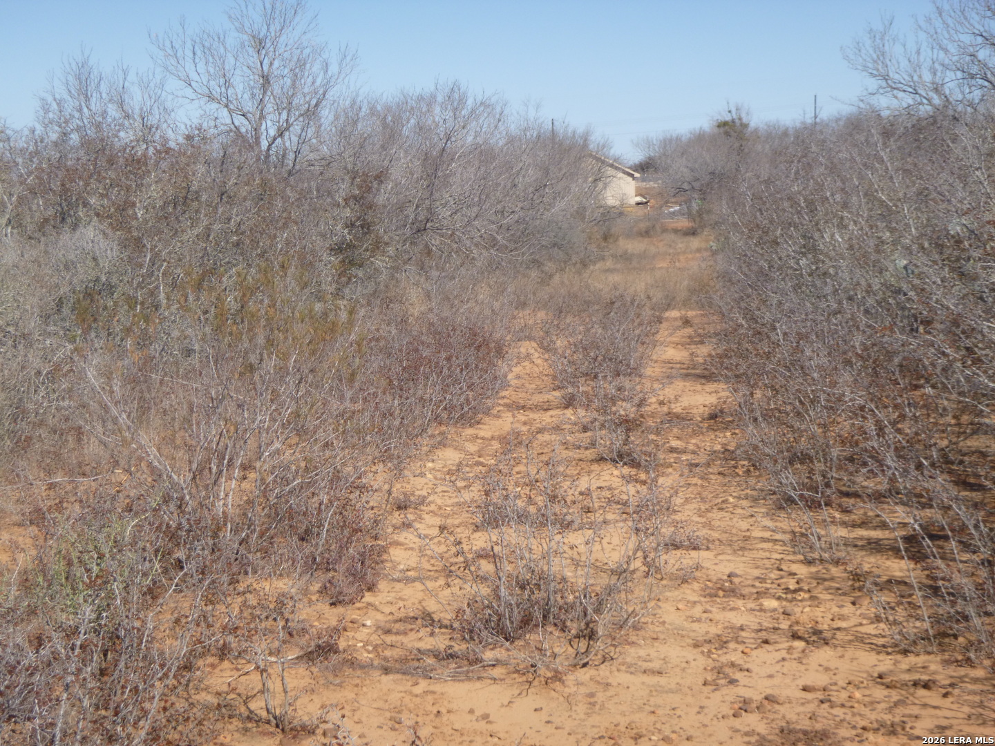 4253 East Fm 462 Moore, TX 78057 - Photo 8 of 19