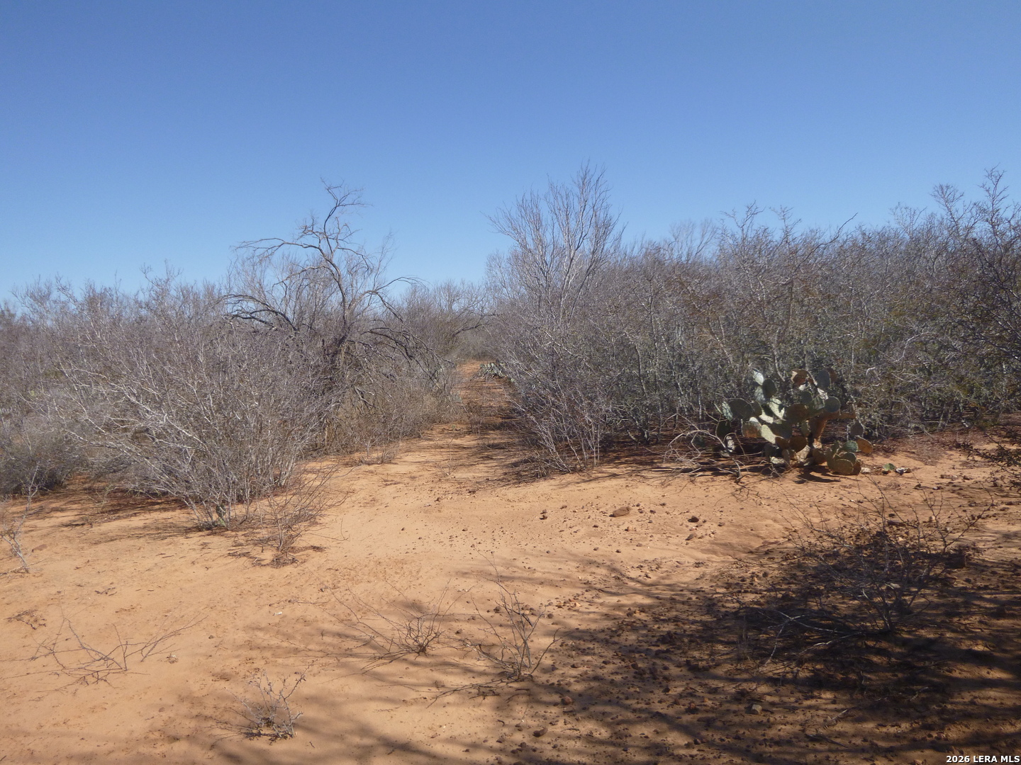 4253 East Fm 462 Moore, TX 78057 - Photo 9 of 19