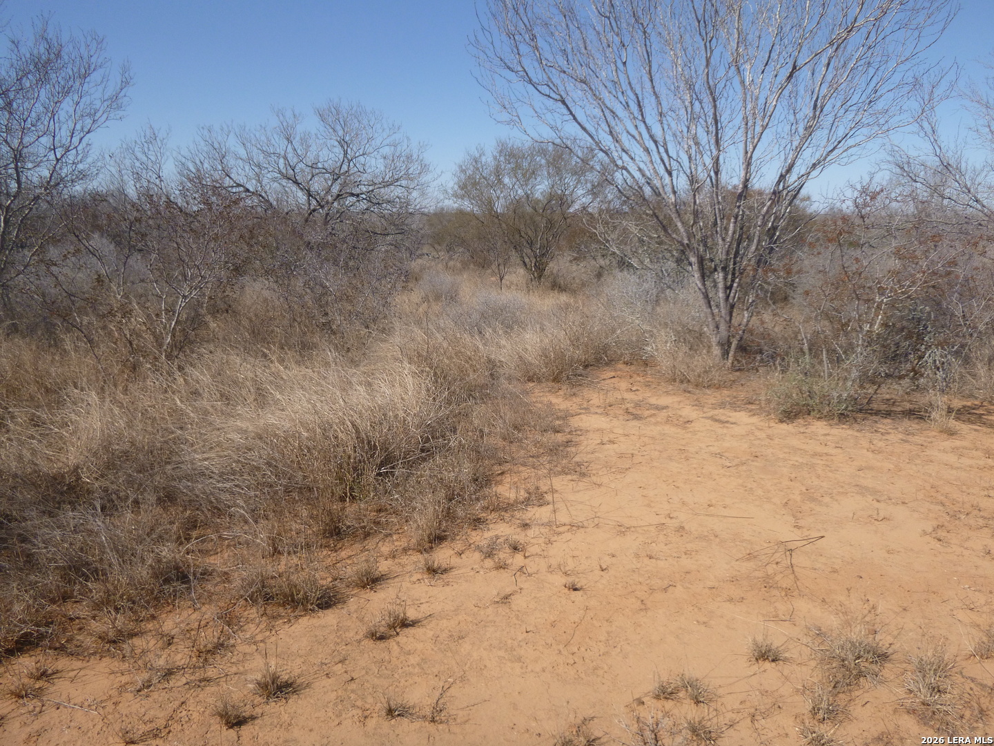 4253 East Fm 462 Moore, TX 78057 - Photo 10 of 19