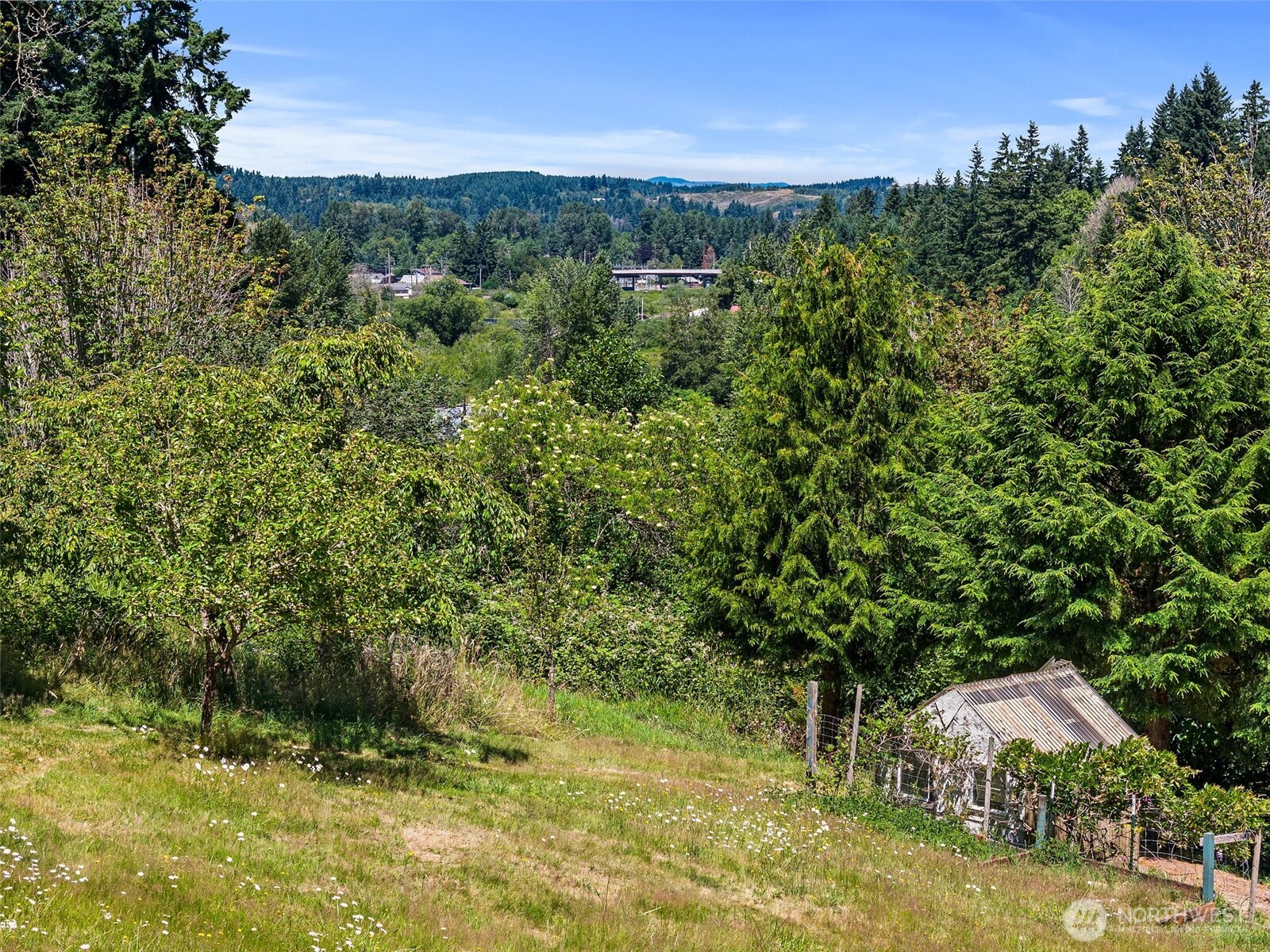926 Roswell Road Centralia, WA 98531 - Photo 34 of 37 Gallery Image 34