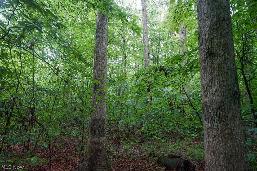 Duncanson Road Sardinia, OH 45171 - Photo 22 of 50 Gallery Image 22
