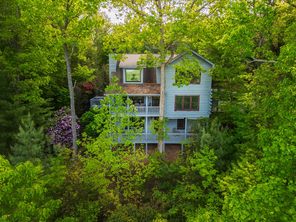 145 Hoot Owl Ridge Morganton, GA 30560 - Photo 43 of 50