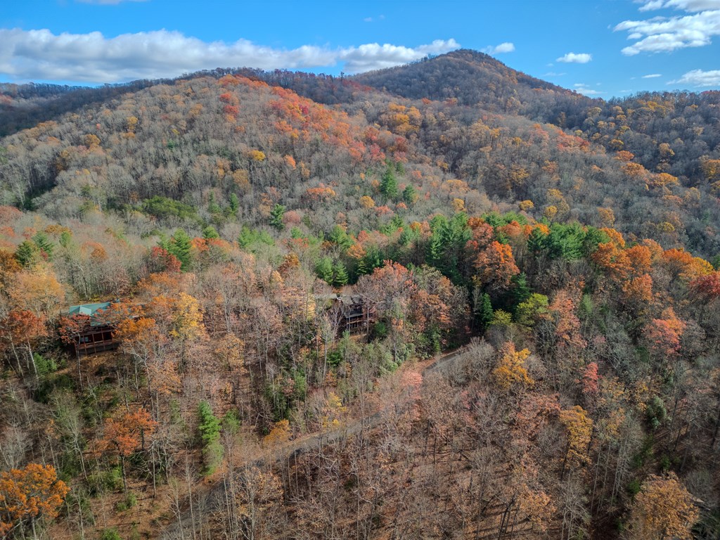 145 Hoot Owl Ridge Morganton, GA 30560 - Photo 45 of 50