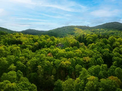 $599,000 | 145 Hoot Owl Ridge, Morganton, GA 30560