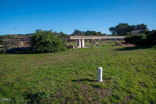 a view of a big yard with large trees