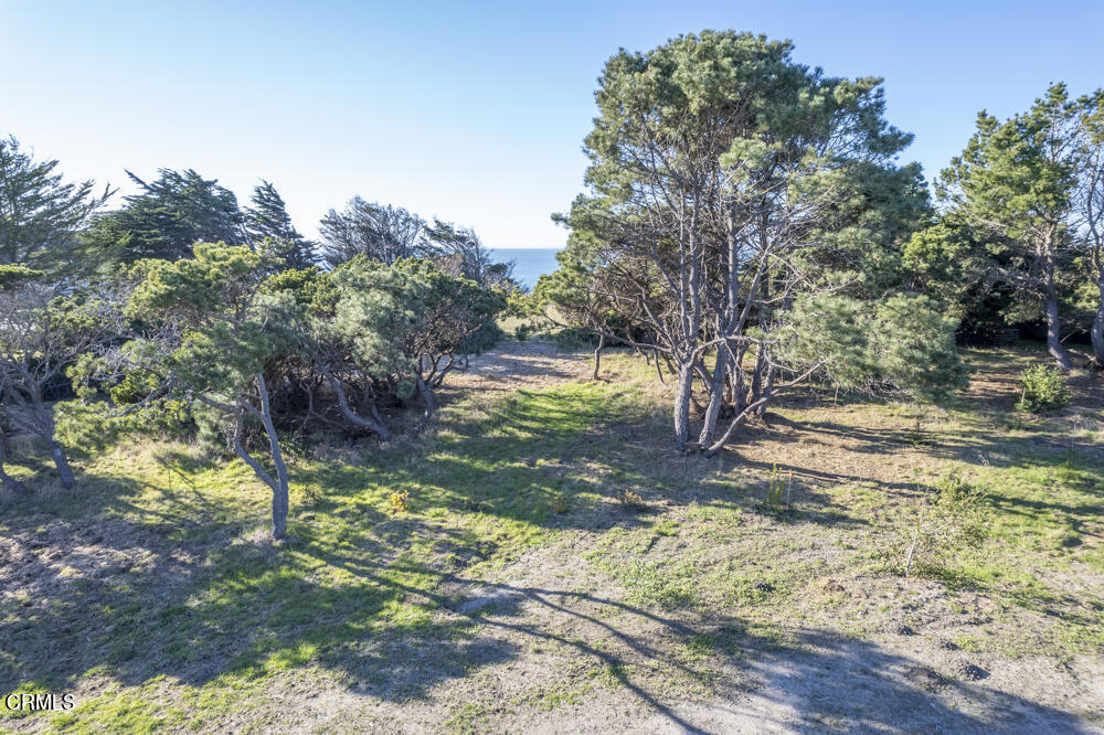 45370 Caspar Point Road Caspar, CA 95420 - Photo 13 of 25 a backyard of a house with lots of green space