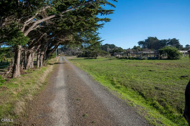a view of a garden with a pathway
