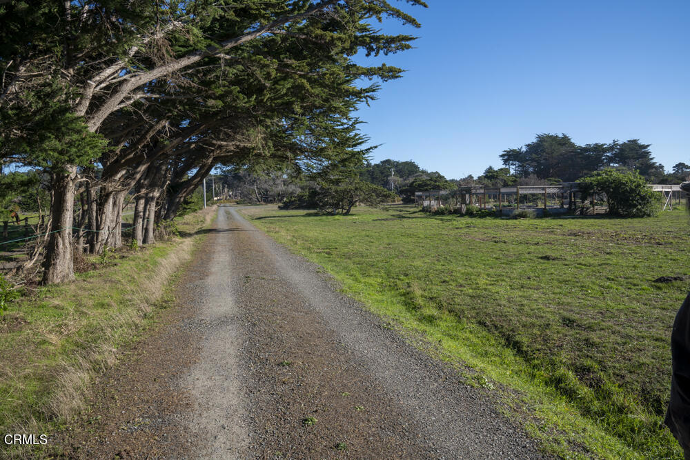 45370 Caspar Point Road Caspar, CA 95420 - Photo 14 of 25 a view of a big yard with large trees