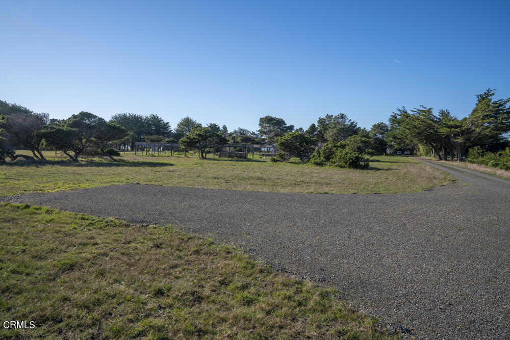 45370 Caspar Point Road Caspar, CA 95420 - Photo 17 of 25 a view of a field with trees in background
