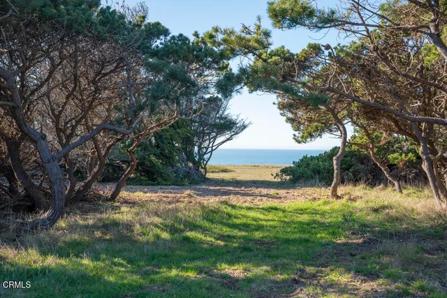 a view of a house with a garden