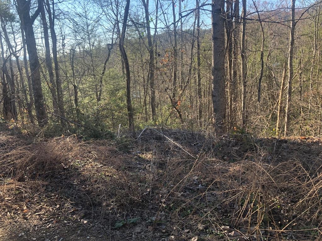 53 Butternut Lane Sevierville, TN 37876 - Photo 1 of 8