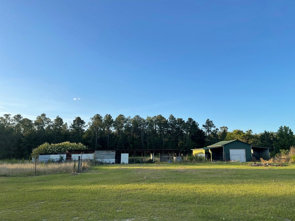 4510 Knights Ferry Road Quitman, GA 31643 - Photo 4 of 8 Gallery Image 4