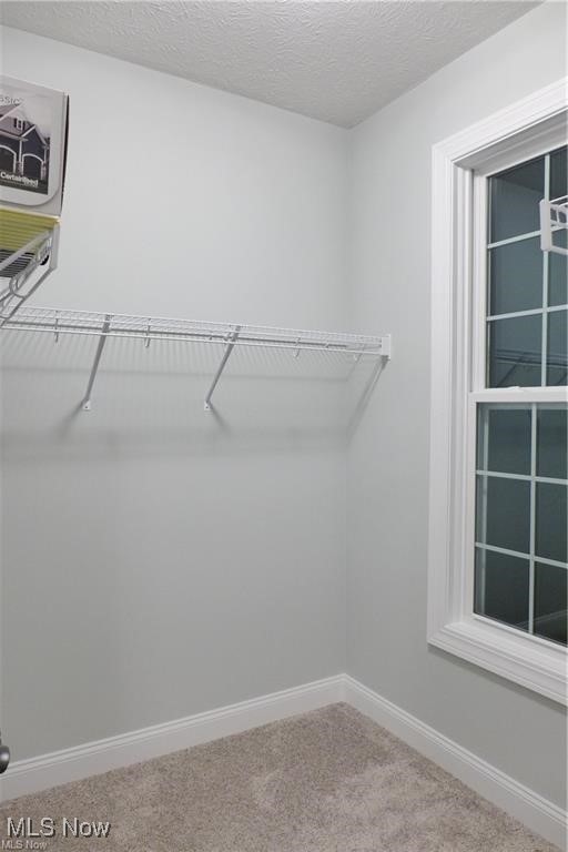 32028 Chestnut Ridge Road North Ridgeville, OH 44039 - Photo 27 of 39 Walk in closet featuring carpet floors