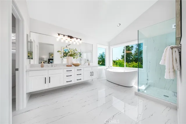 a plant that is in front of a window