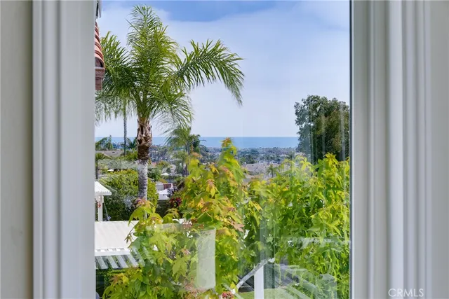 a view of a potted plant in front of a window