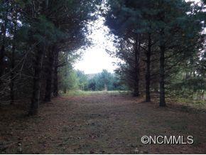 76 Ball Gap Road Arden, NC 28704 - Photo 19 of 24 Gallery Image 19