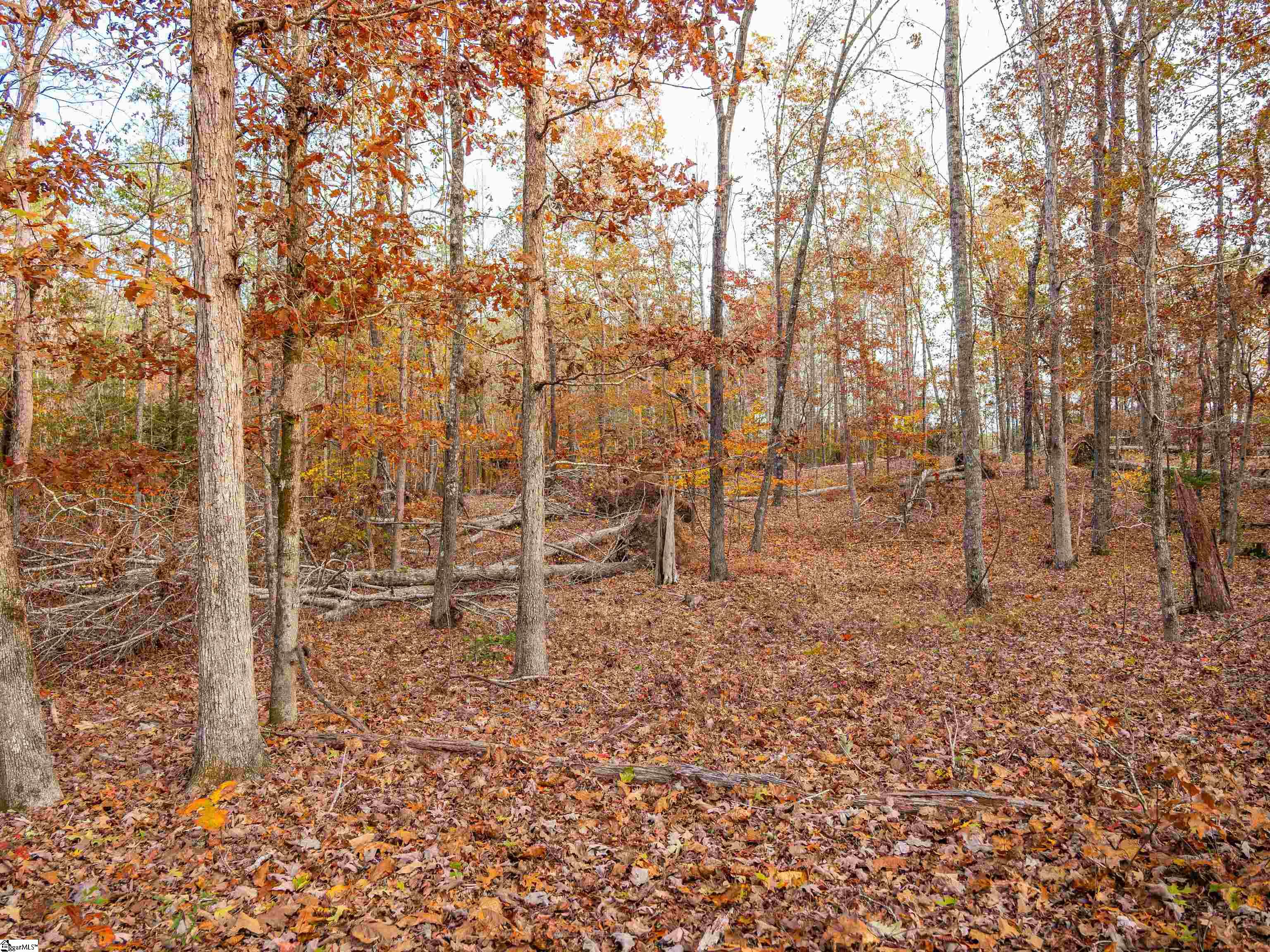 257 West Chapman Road, Unit LOT 9 Belton, SC 29627 - Photo 13 of 25