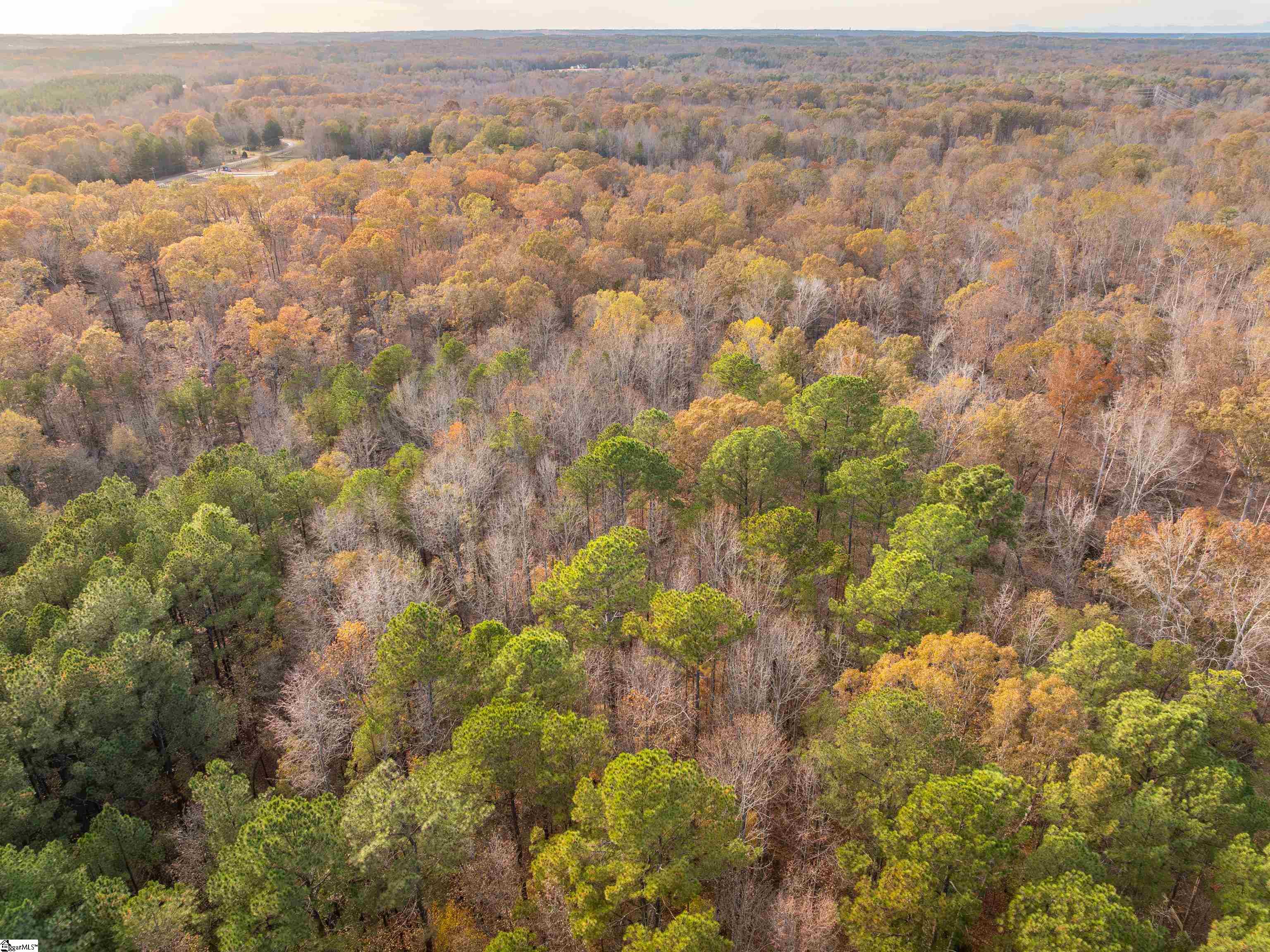 257 West Chapman Road, Unit LOT 9 Belton, SC 29627 - Photo 17 of 25