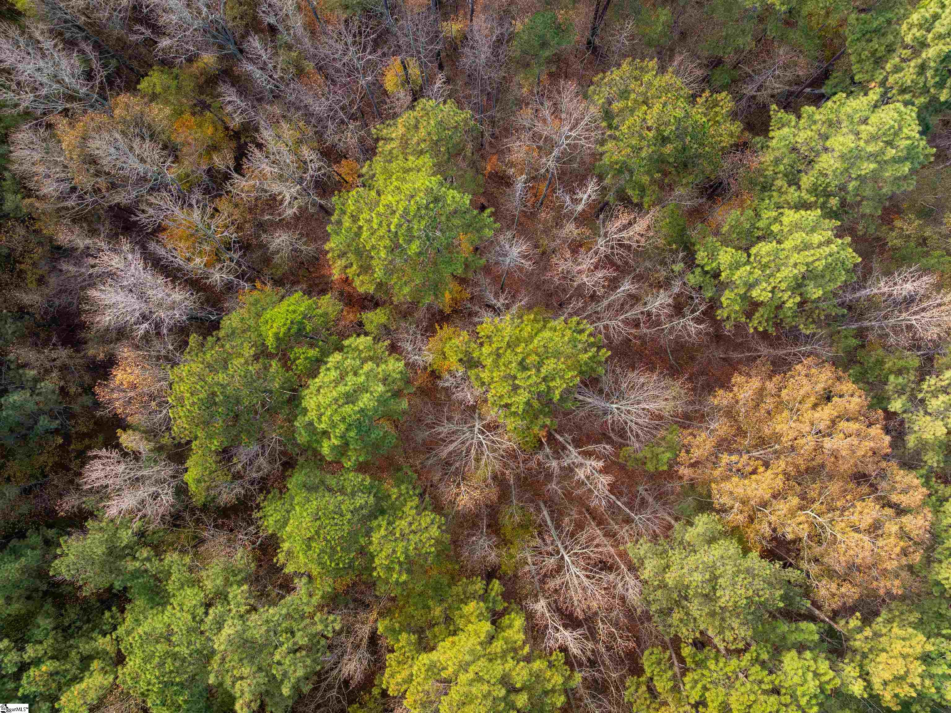 257 West Chapman Road, Unit LOT 9 Belton, SC 29627 - Photo 18 of 25