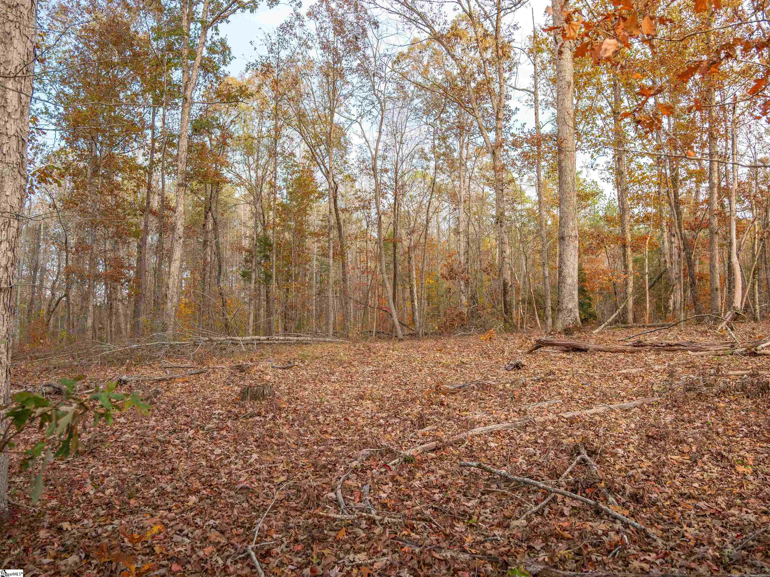 257 West Chapman Road, Unit LOT 9 Belton, SC 29627 - Photo 19 of 25