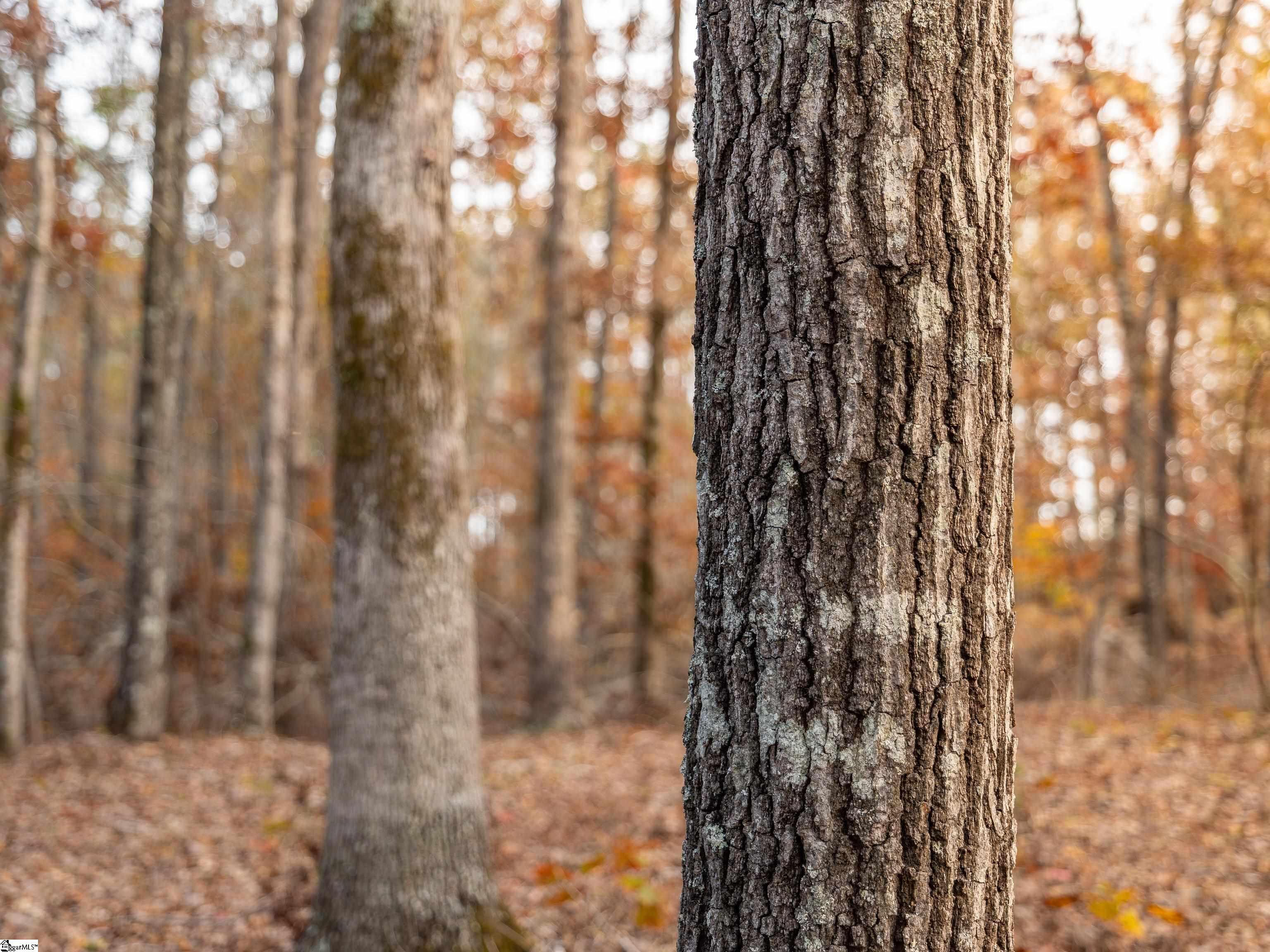 257 West Chapman Road, Unit LOT 9 Belton, SC 29627 - Photo 20 of 25