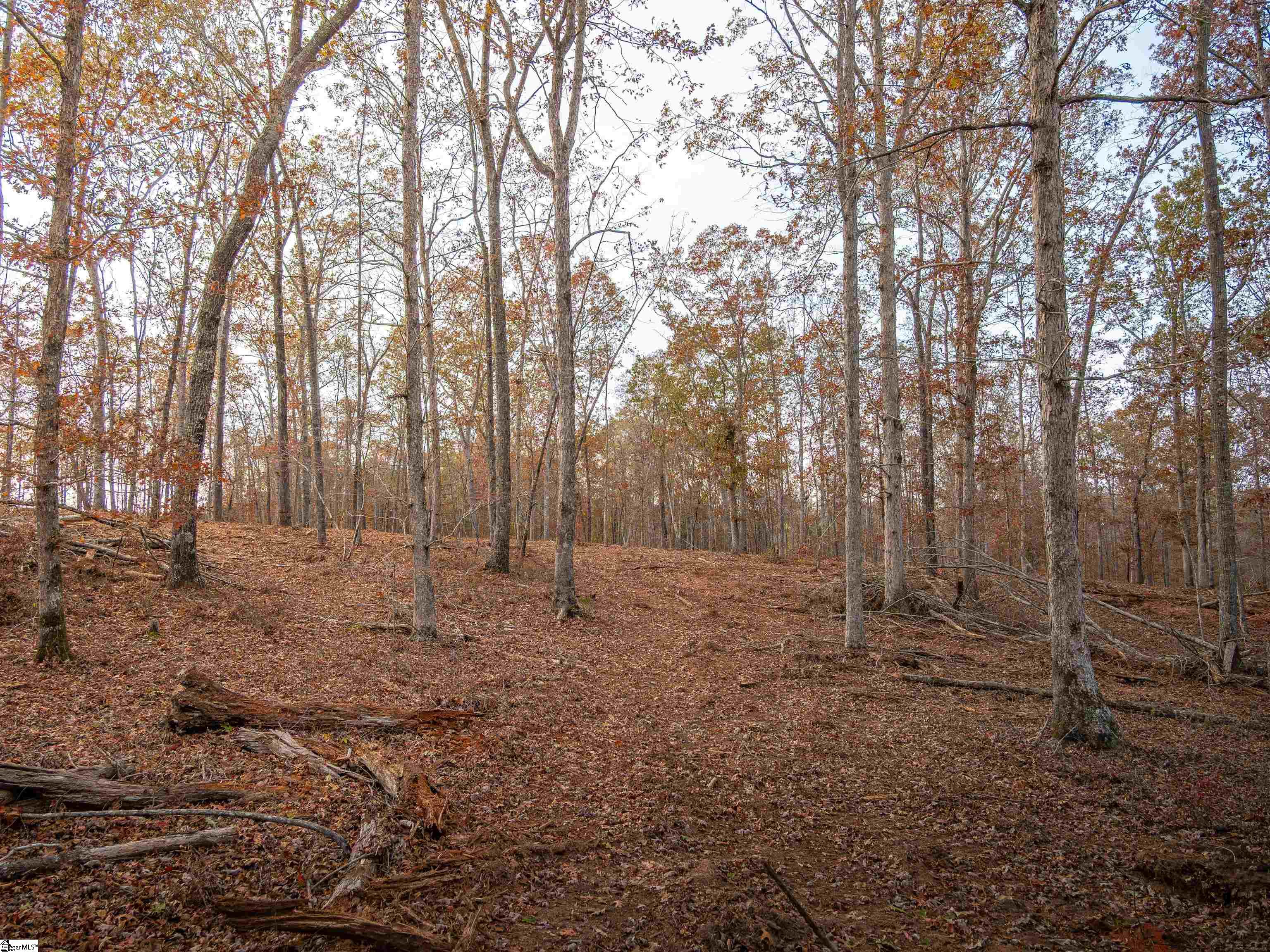 257 West Chapman Road, Unit LOT 9 Belton, SC 29627 - Photo 21 of 25