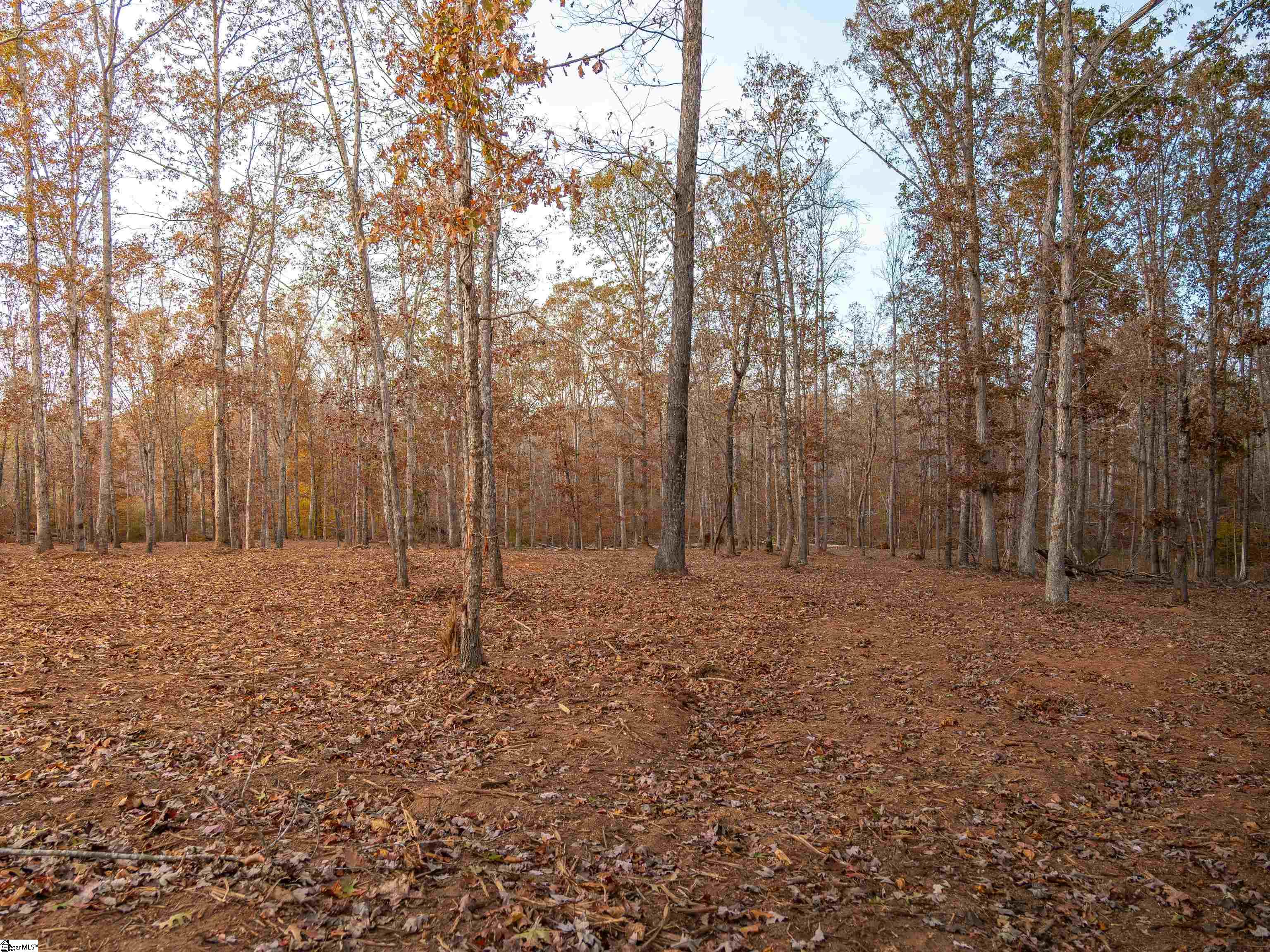 257 West Chapman Road, Unit LOT 9 Belton, SC 29627 - Photo 22 of 25