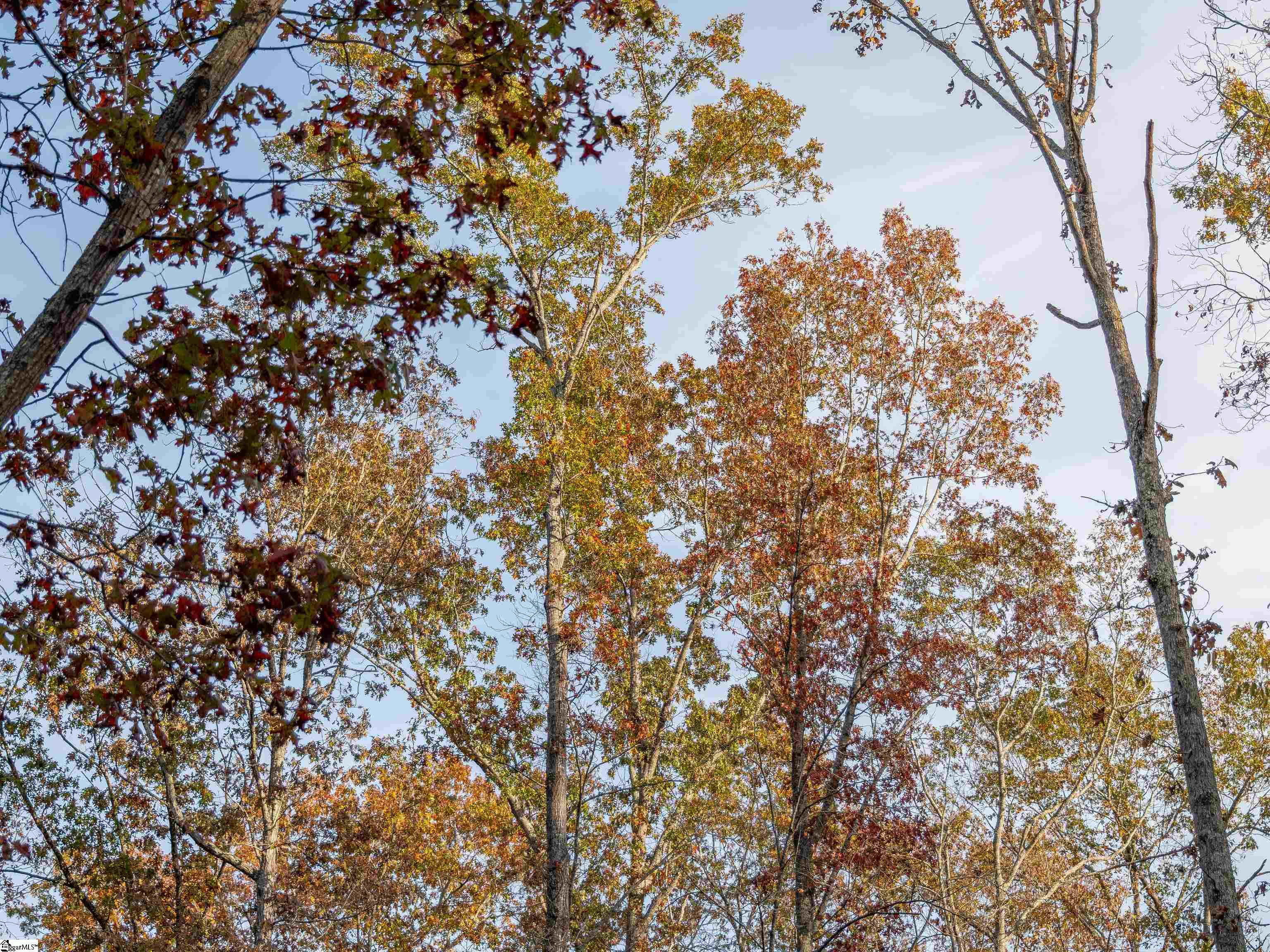 257 West Chapman Road, Unit LOT 9 Belton, SC 29627 - Photo 24 of 25