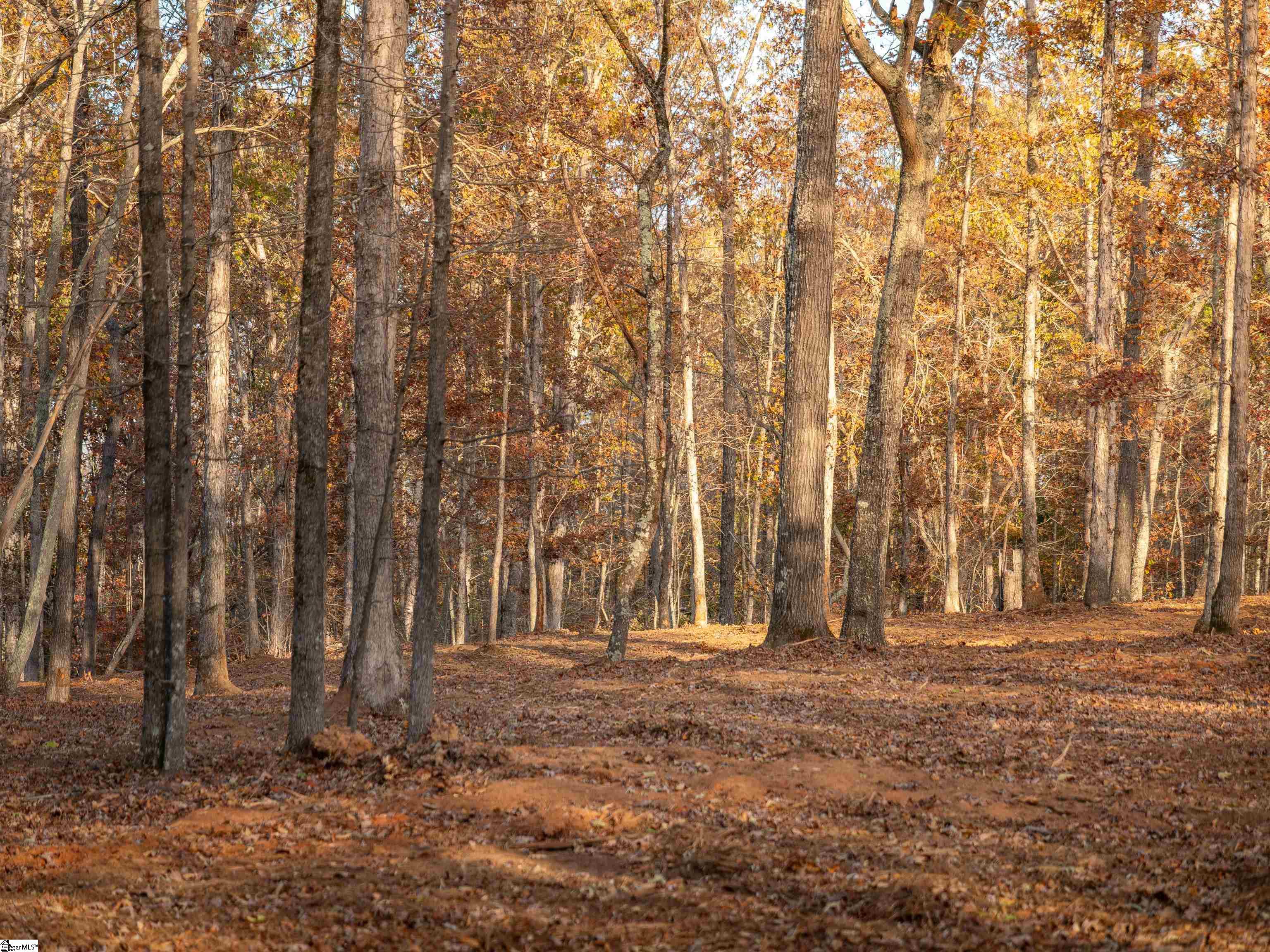 257 West Chapman Road, Unit LOT 9 Belton, SC 29627 - Photo 5 of 25