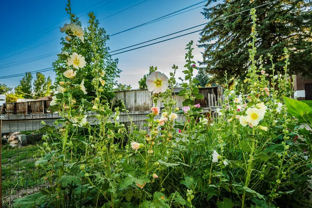 $335,000 | 936 North Carrington Avenue, Buffalo, WY 82834