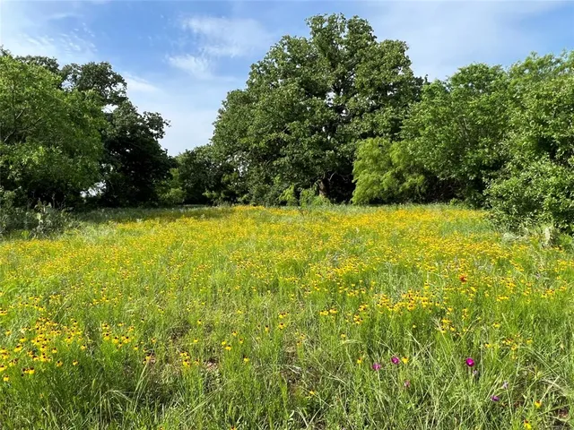 a view of a yard with an outdoor space