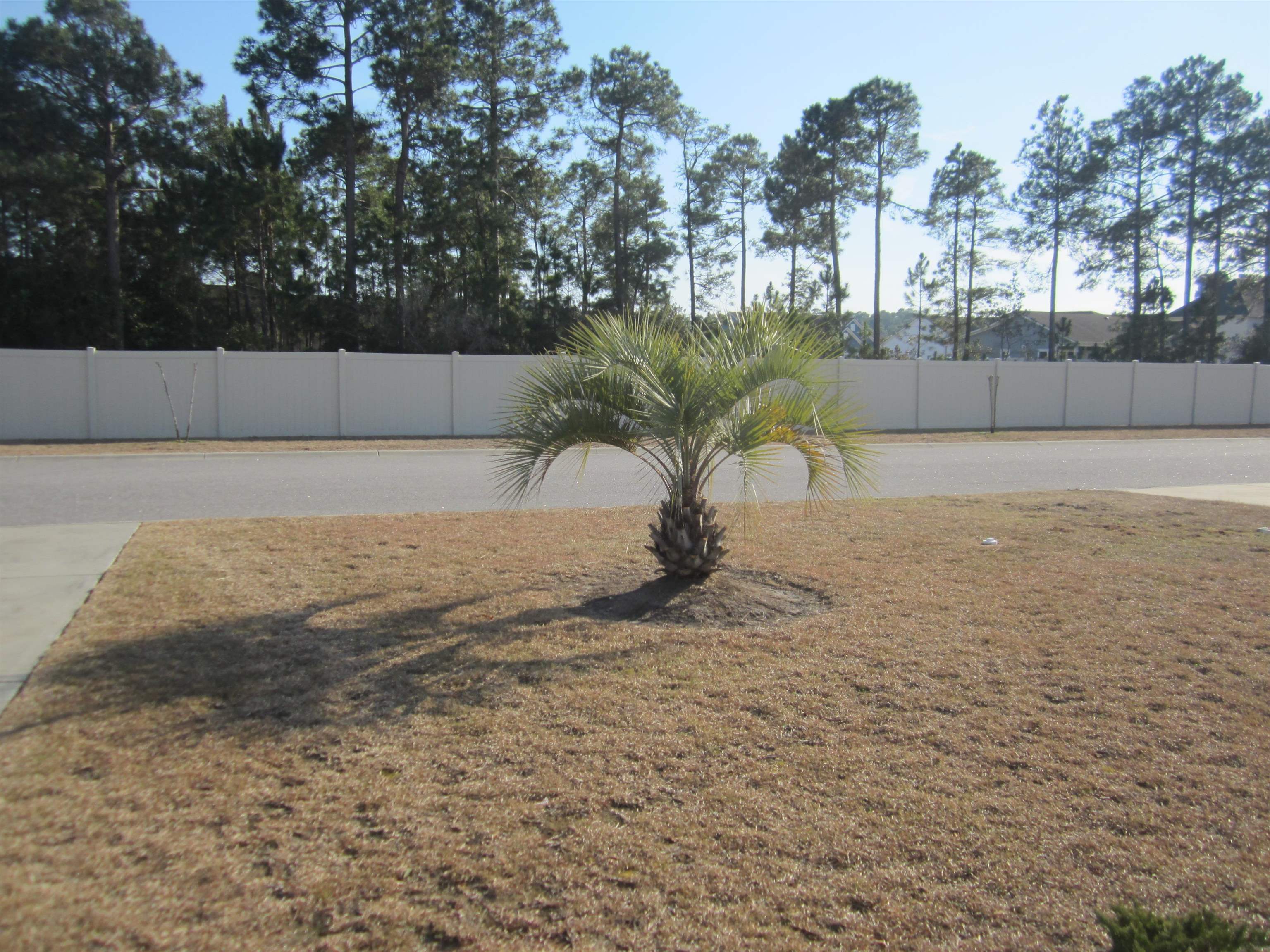 256 Legends Village Loop Myrtle Beach, SC 29579 - Photo 36 of 36