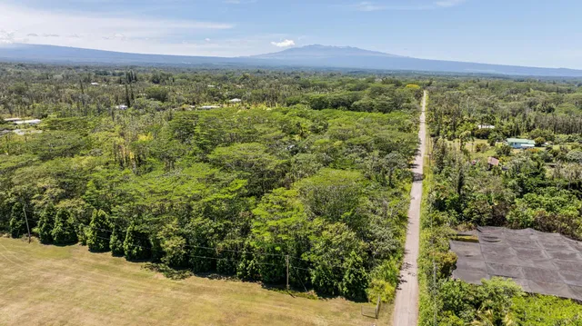 a view of a yard with an outdoor space